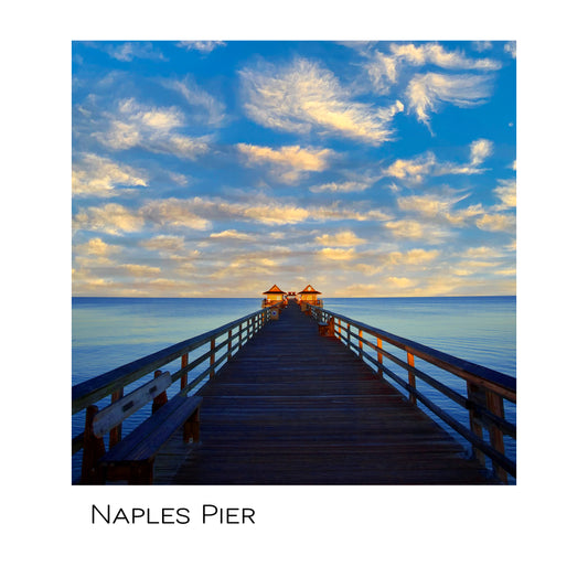 The Naples Pier