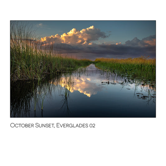 October Sunset 02, Everglades