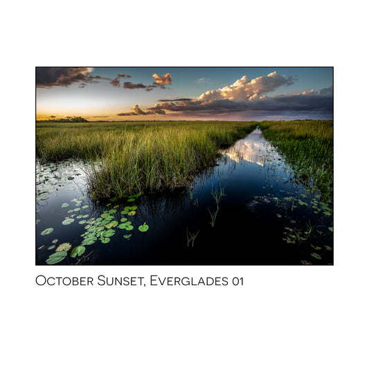 October Sunset 01, Everglades