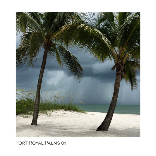 Port Royal Palms 01