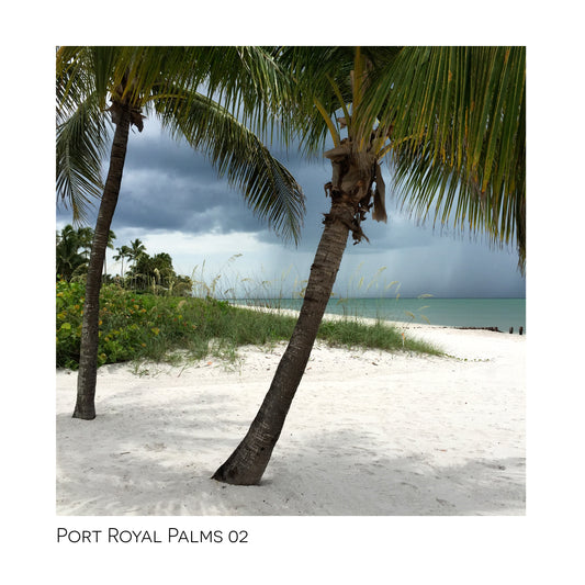 Port Royal Palms 02